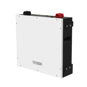 Acumulator Dyness DL5.0C Pro 5,12 kWh LiFePO4 (LV)